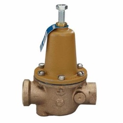 WATTS® 0121224