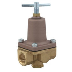 WATTS® 0125333