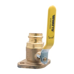 WATTS® 0068087