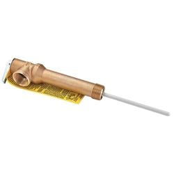 WATTS® 0068729