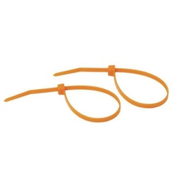 Watts Radiant&trade; 81000580