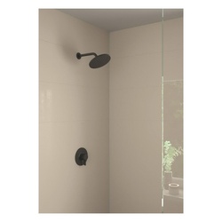 Hansgrohe 04186923 HAN04186923