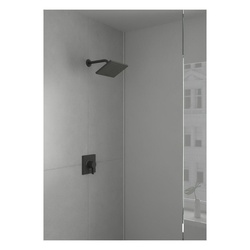 Hansgrohe 04186923 HAN04186923