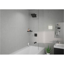 Hansgrohe 04961670 HAN04961670