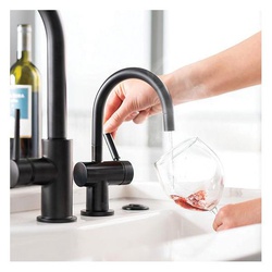 Insinkerator&reg; 44240G-ISE INSFH3300MBLK