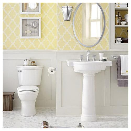 American Standard 212BA104.020 2803529