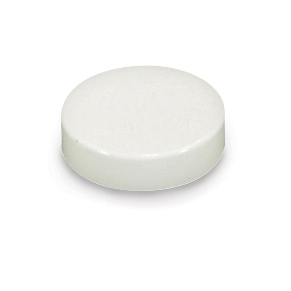 BRAXTON HARRIS TTPC3 Techno Test Plug Cap, 3 in Dia, 17 psig, PVC