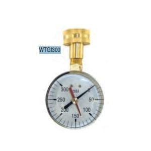 Braxton Harris WTGI300 Steel Case/Brass Hose Connection Hand Test Gauge With Indicator, 0 - 300 psi, 3/4 inch Hose; 1/Pack