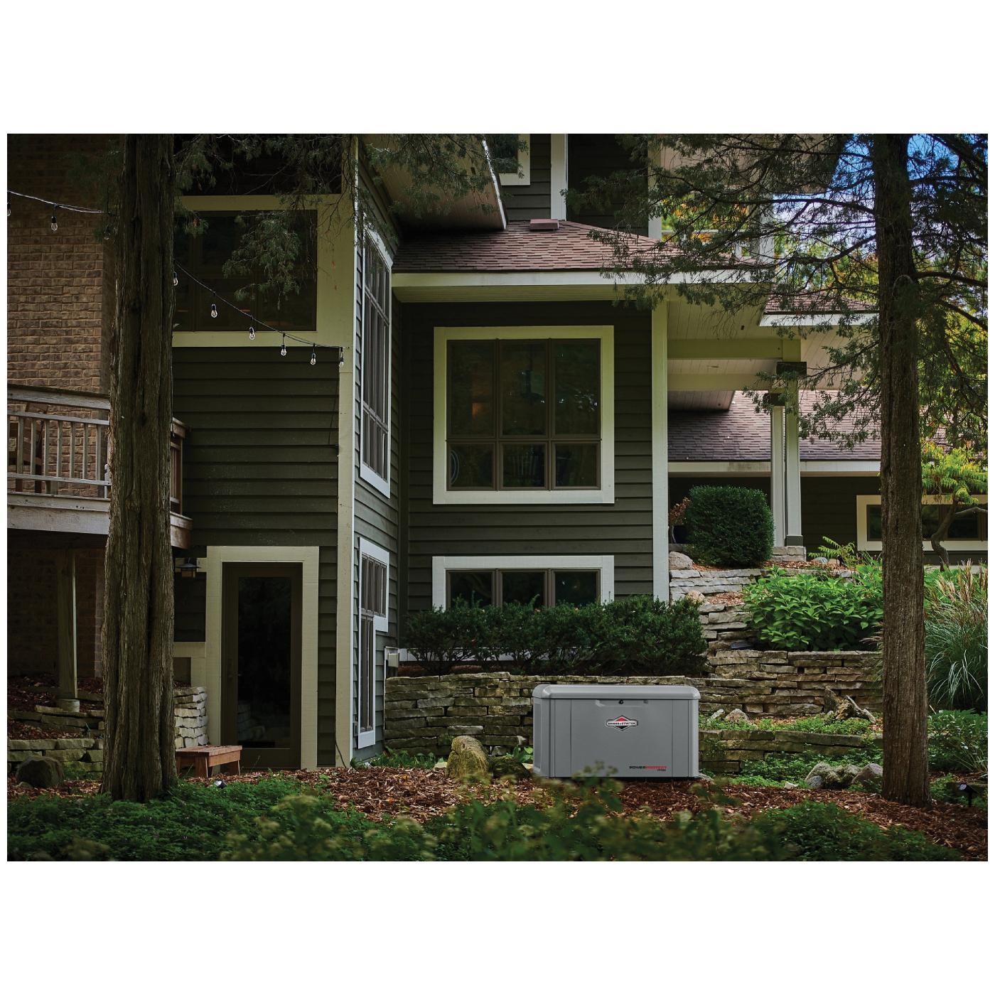 BRIGGS & STRATTON&reg; 040658 BS040658