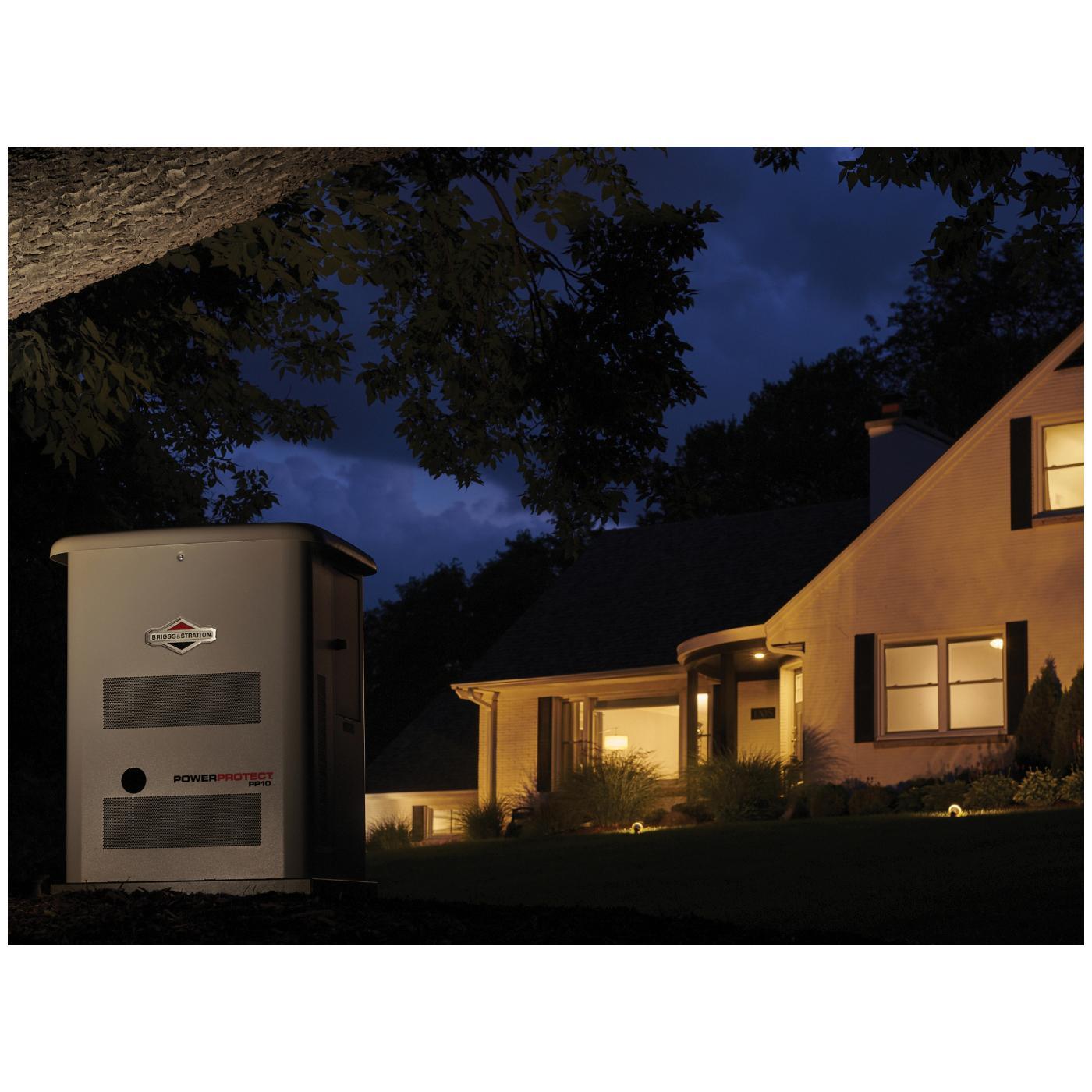 BRIGGS & STRATTON&reg; 040684 BS040684