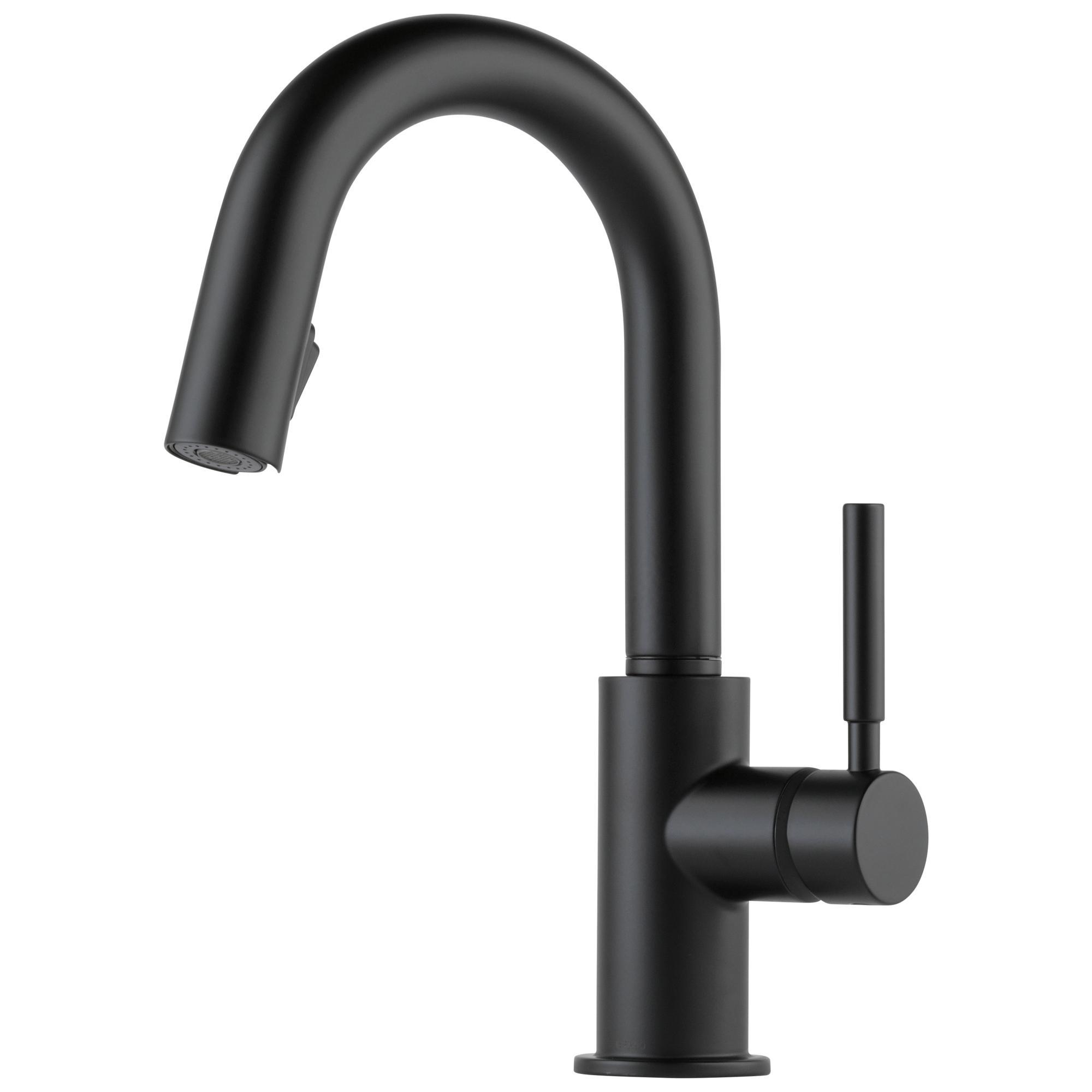 Brizo&reg; 63920LF-BL 2800506