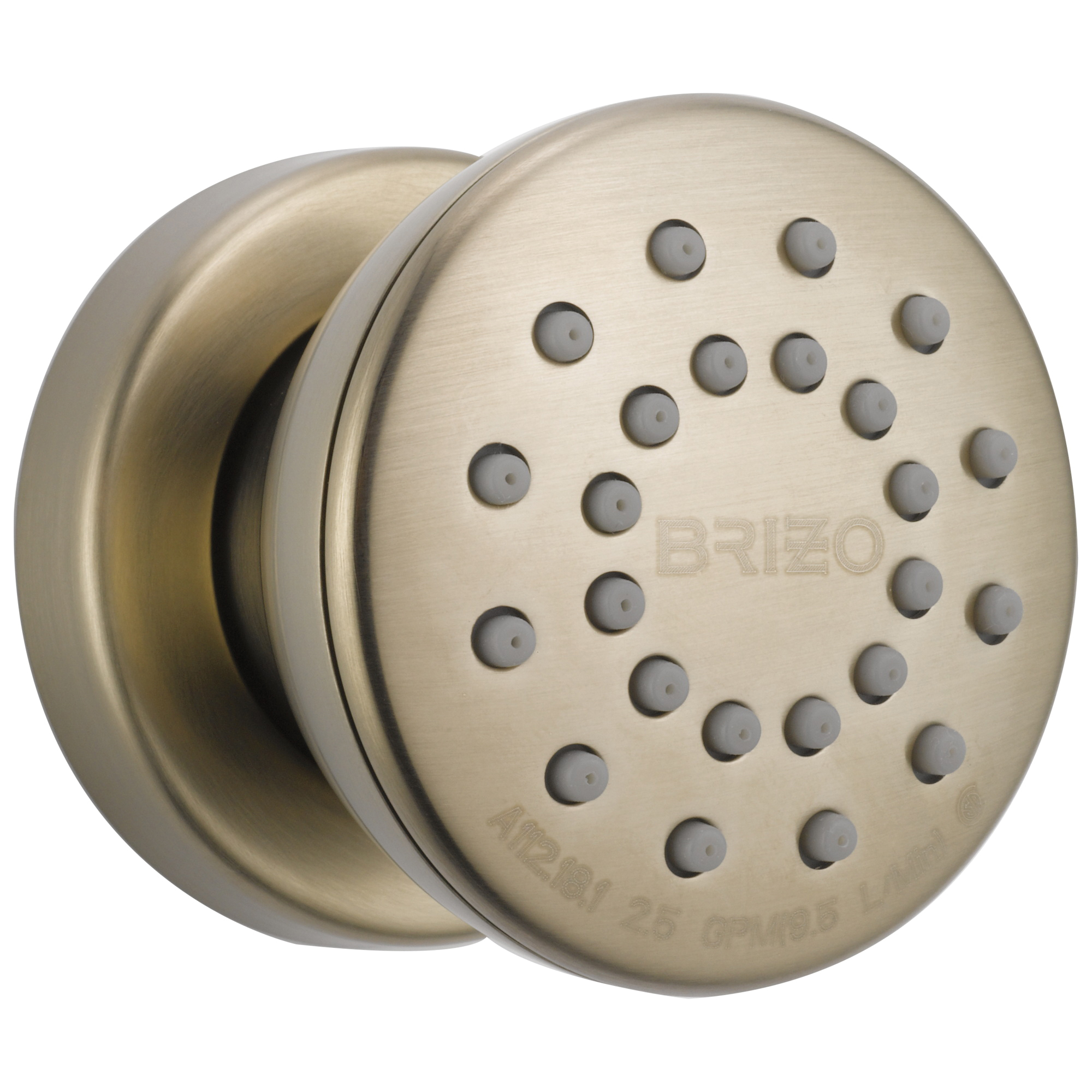 Brizo® 84110-BN
