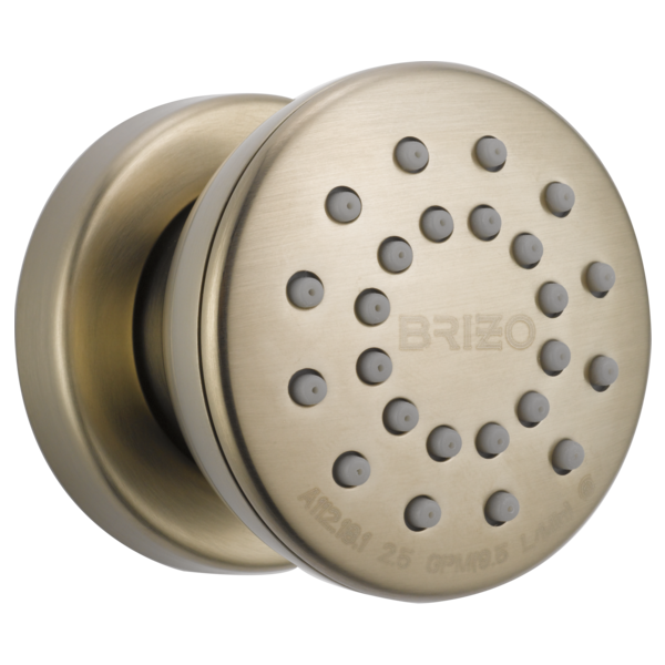 Brizo® 84110-BN 2689636
