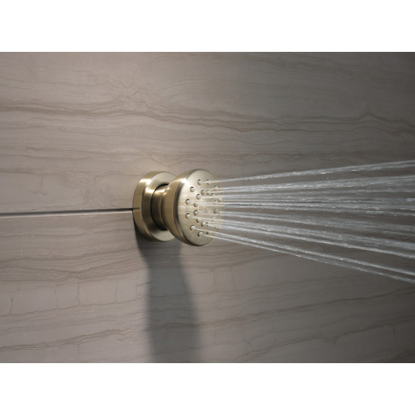 Brizo® 84110-BN 2689636
