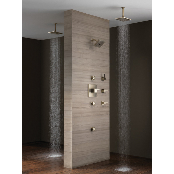 Brizo® 84110-BN 2689636