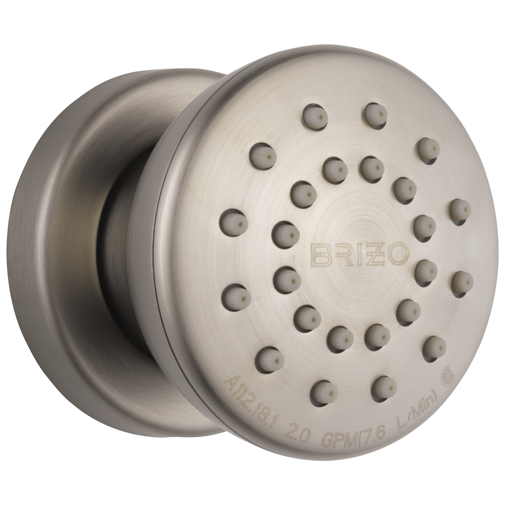 Brizo® 84110-NK