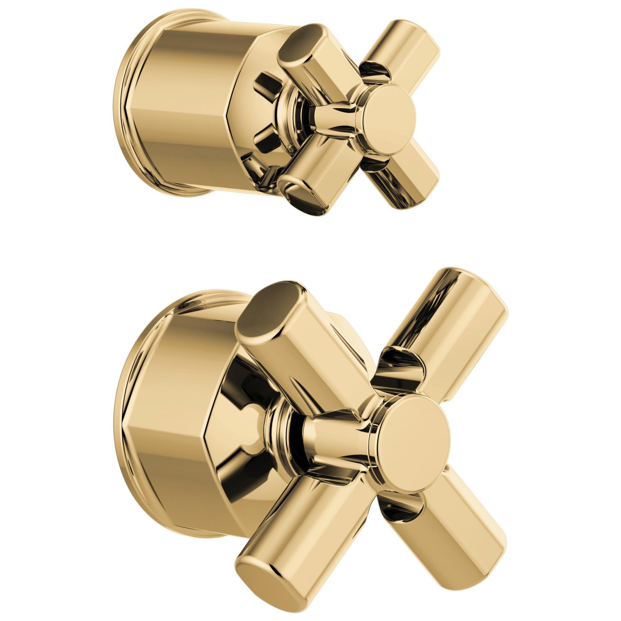 Brizo&reg; HX75P76-PG 2945327