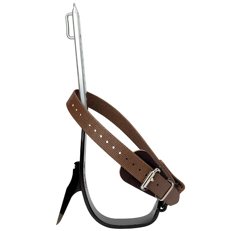 BUCK 435157