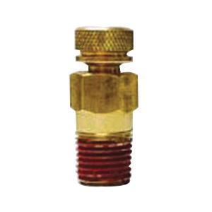 B&D N76-02 Pressure/Temperature Plug, 1/4 in MPT, Brass