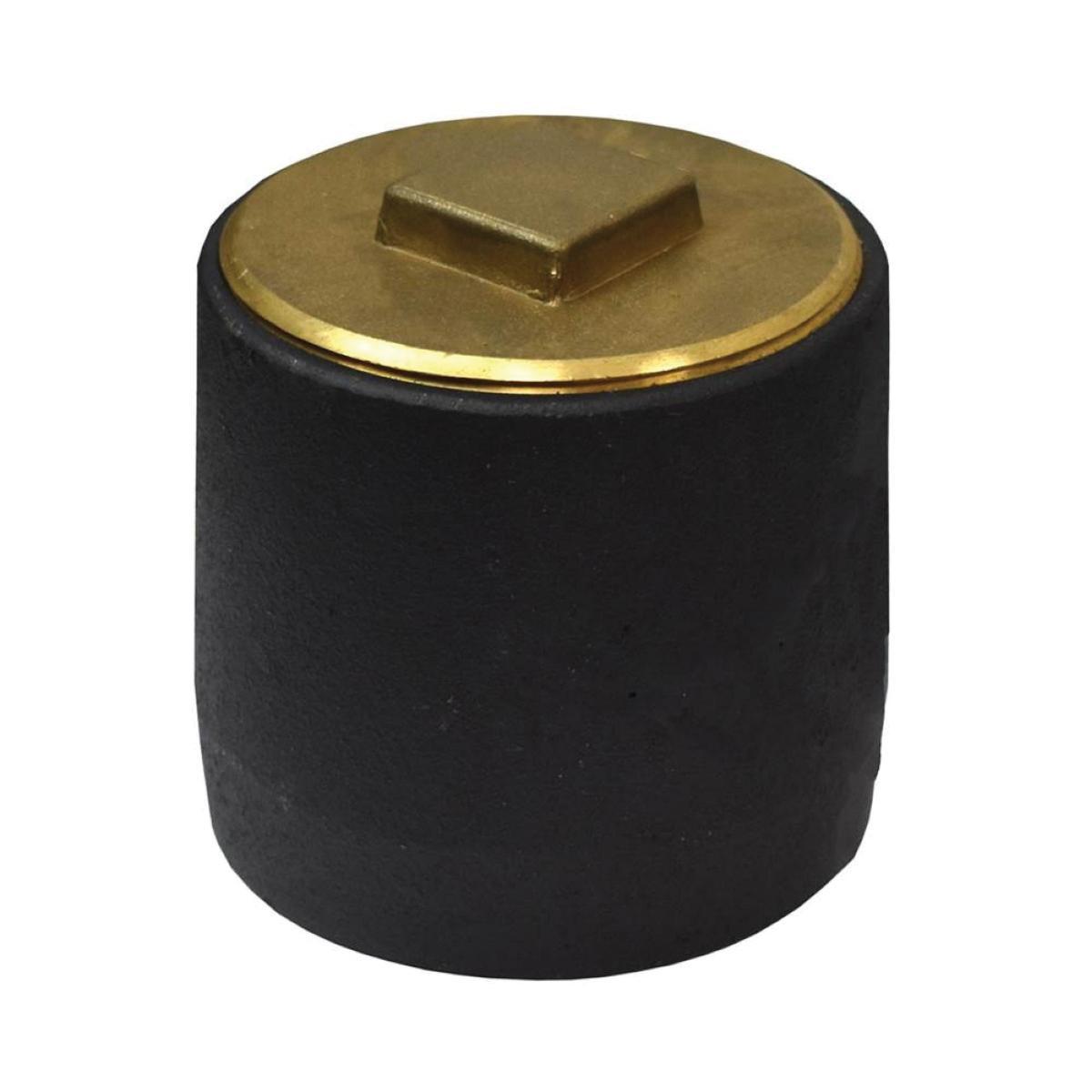 Standard Body Cleanout with Raised Head Brass Plug, 3-1/2 inch, Plain; 1/Carton
