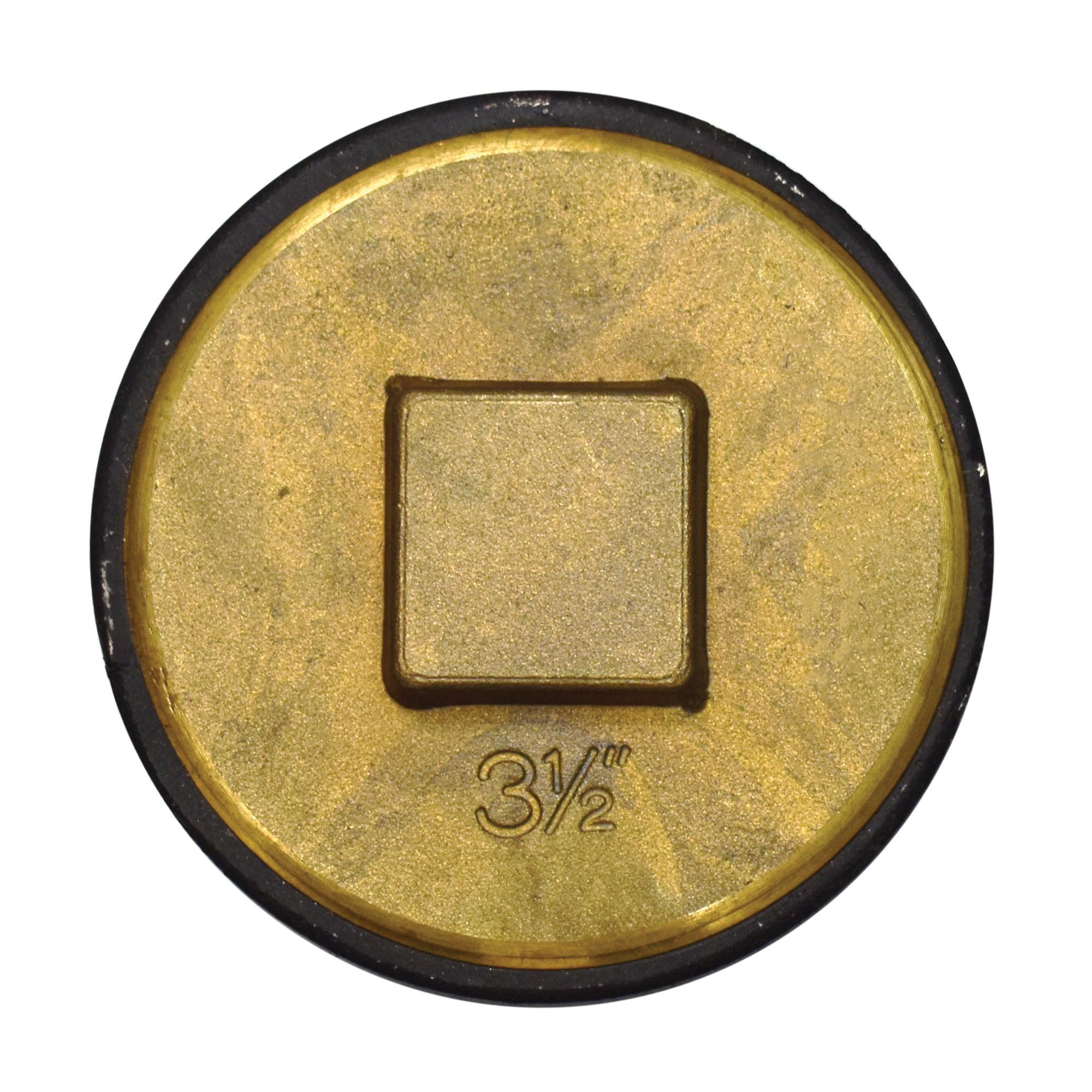 Standard Body Cleanout with Raised Head Brass Plug, 3-1/2 inch, Plain; 1/Carton