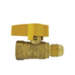 CAMBRIDGE&trade; FIBV02 BV38MFX12FPT BALL VALVE