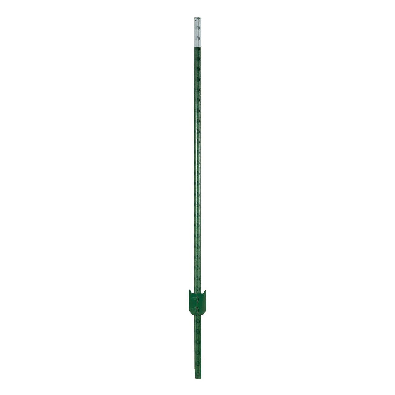 CHICAGO HEIGHTS STEEL FRPT12500056G4N