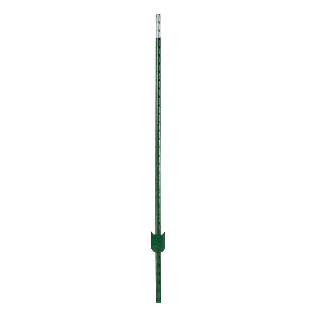 Chicago Heights Steel FRPT12500066G4N