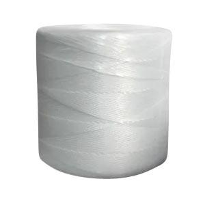 Continental Western Corporation 25007