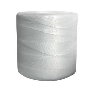 Continental Western Corporation 25022