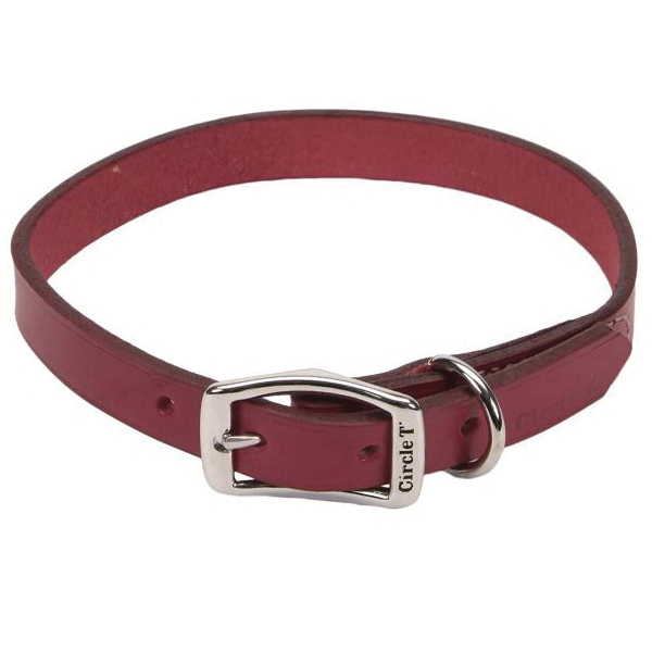 Circle T 01108 RED24 Town Dog Collar 24 in L 1 in