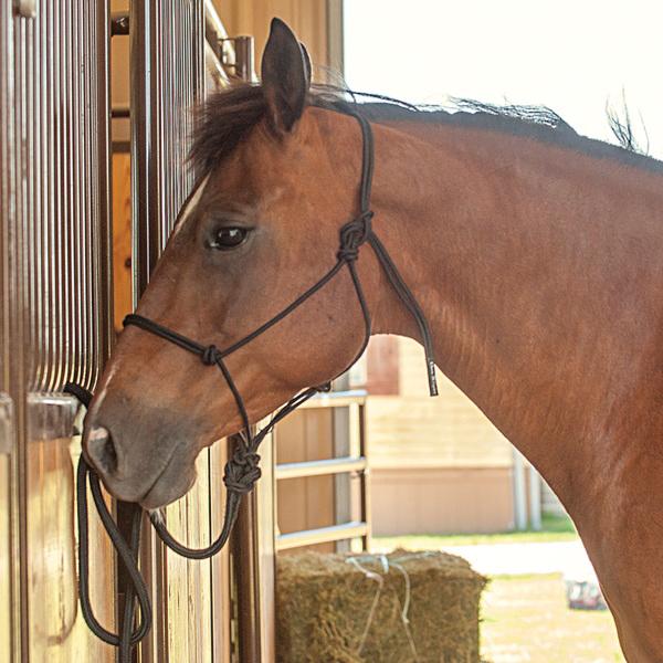 Classic Equine® HALTER08BK