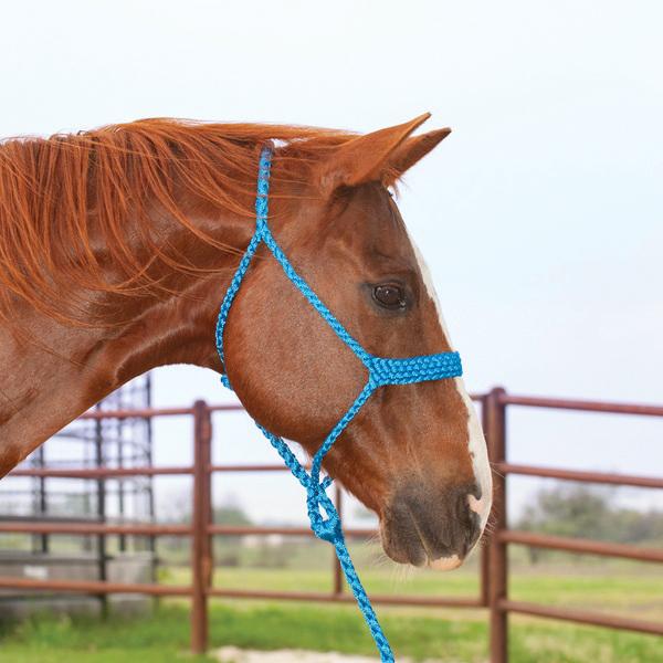 Classic Equine® HALTERBRBL
