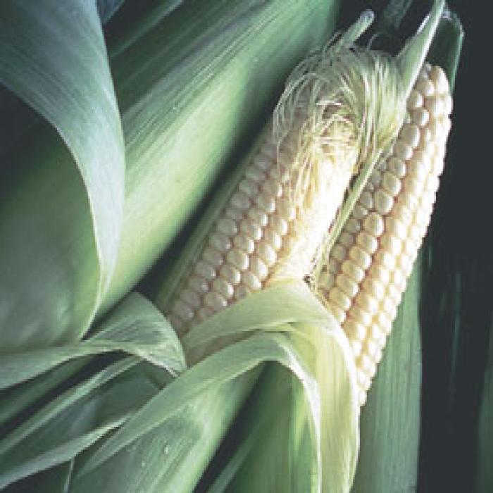 Co-op 87722
