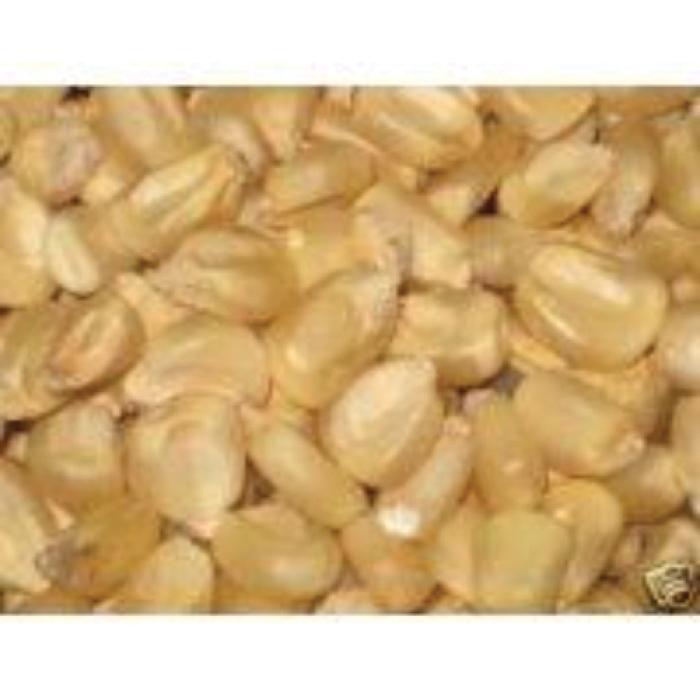 Co-op 87790