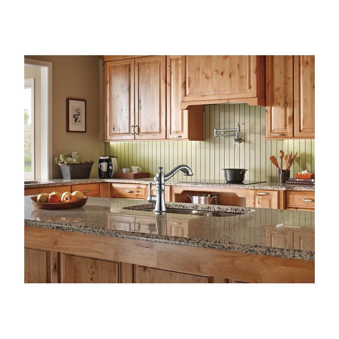 DELTA® Cassidy® 4197-AR-DST Kitchen Faucet, Deck, Pull-Out, Arctic Stainless