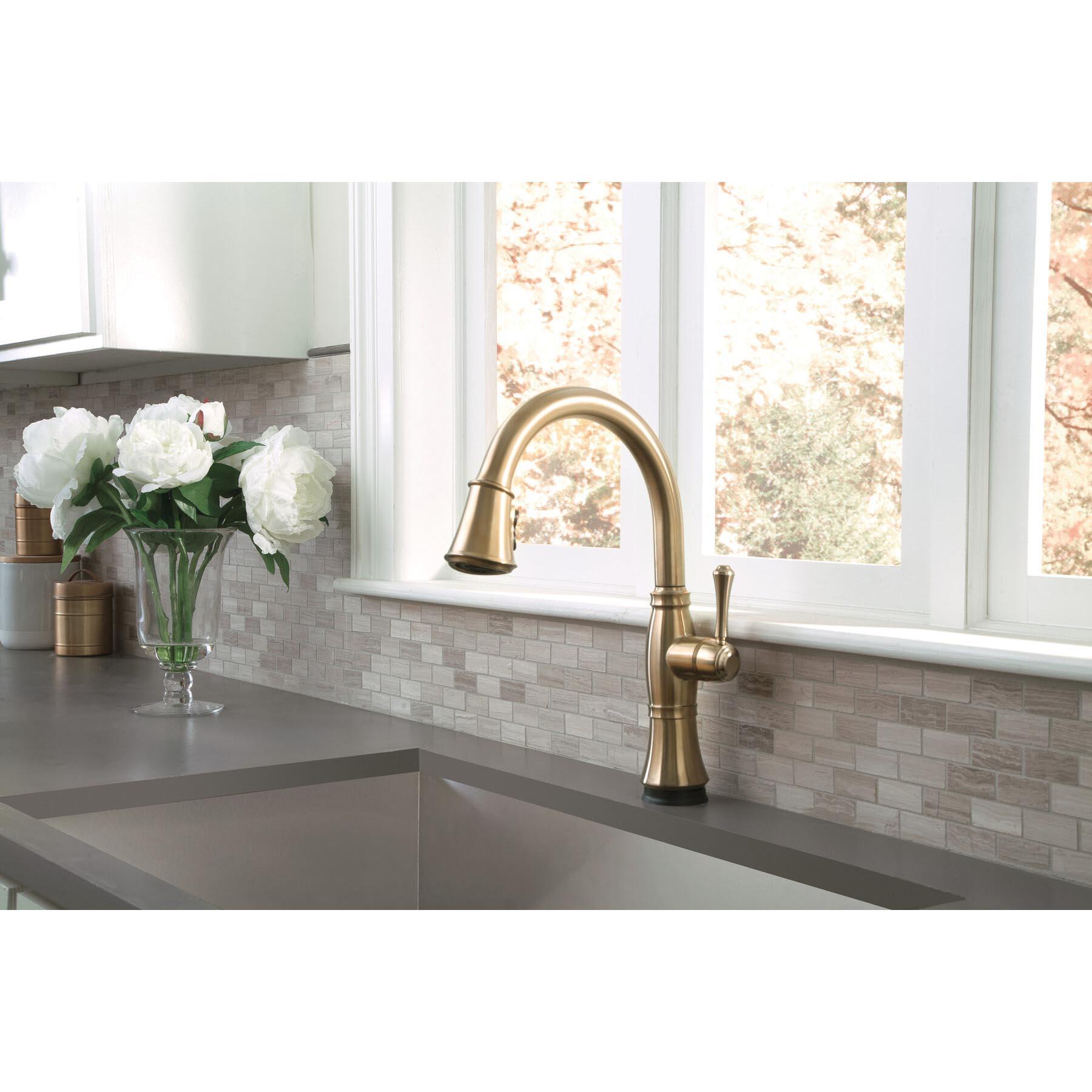 DELTA® Cassidy® 9197T-CZ-DST Kitchen Faucet With Touch2O® and ShieldSpray® Technology, Deck, Champagne Bronze thumbnail 3