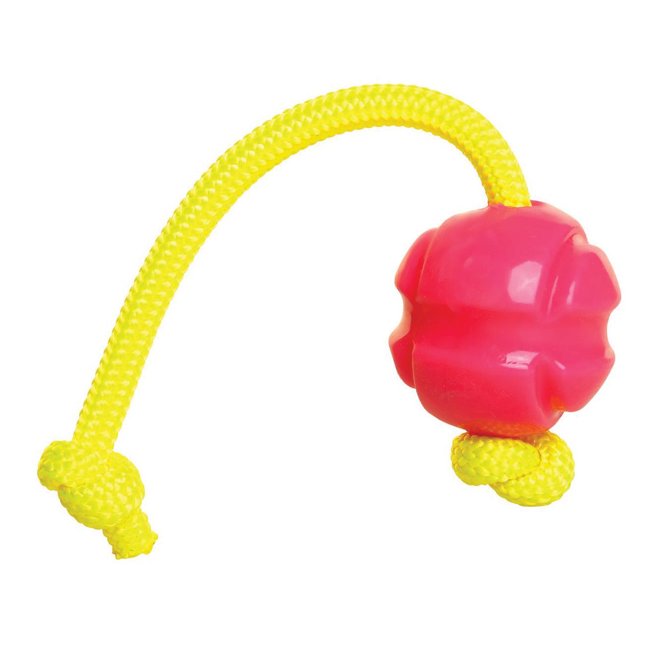 DOOG&reg; FBR01