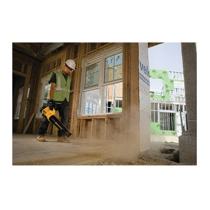 DeWALT® DCBL720B 1029843
