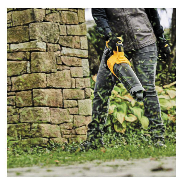 DeWALT® DCBL722P1 1049782
