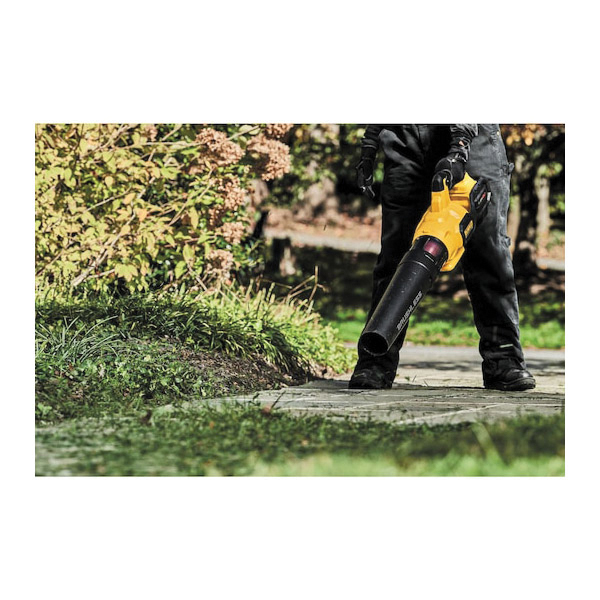 DeWALT® DCBL772B 1019680