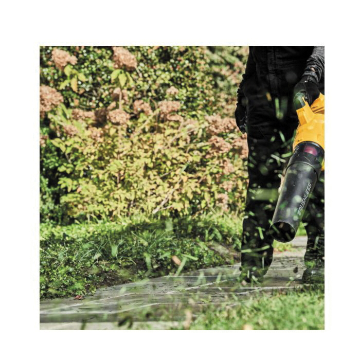 DeWALT® DCBL772X1 1049643