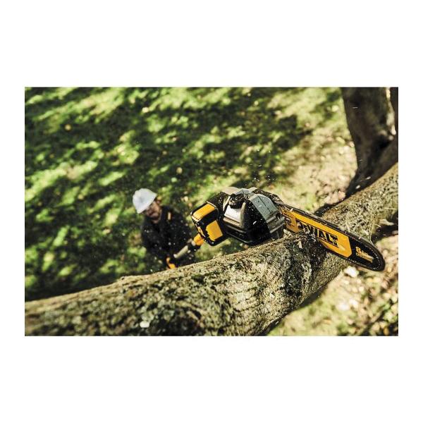 DeWALT® DCPS620B 1069817