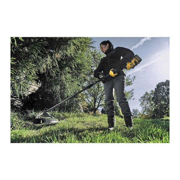 DeWALT® DCST972B 1059619