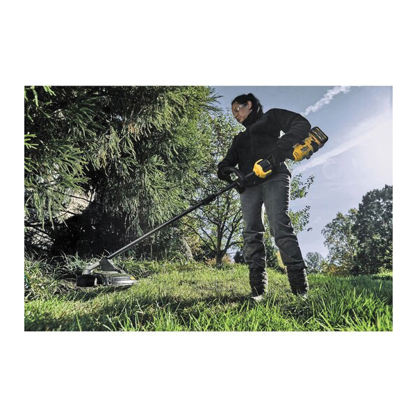 DeWALT® DCST972X1 1039562