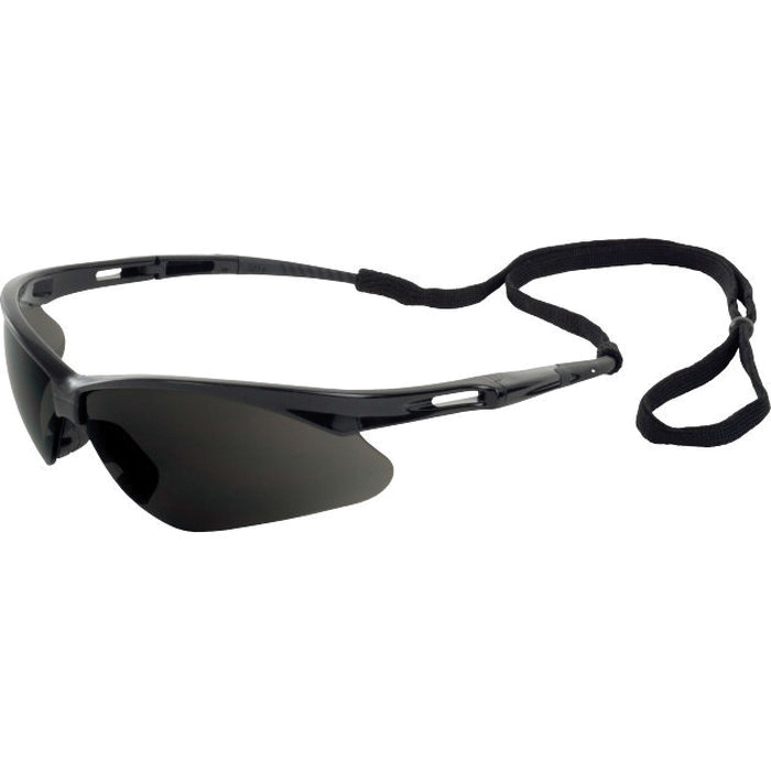 Delta Plus Anti-Fog Safety Glasses