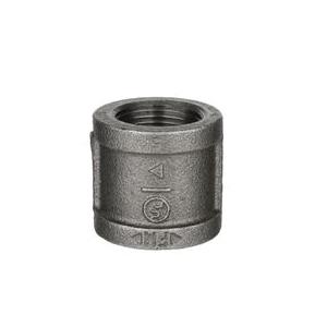 DiversiTech® BPF-09 Pipe Coupling, 1 in, Black