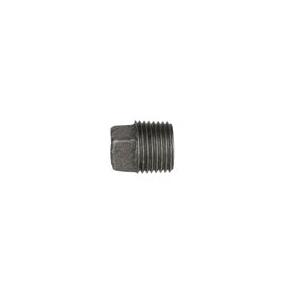DiversiTech® BPF-28 Pipe Cap, 1/2 in, Black