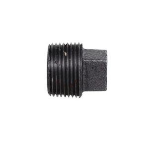 DiversiTech® BPF-29 Pipe Cap, 3/4 in, Black