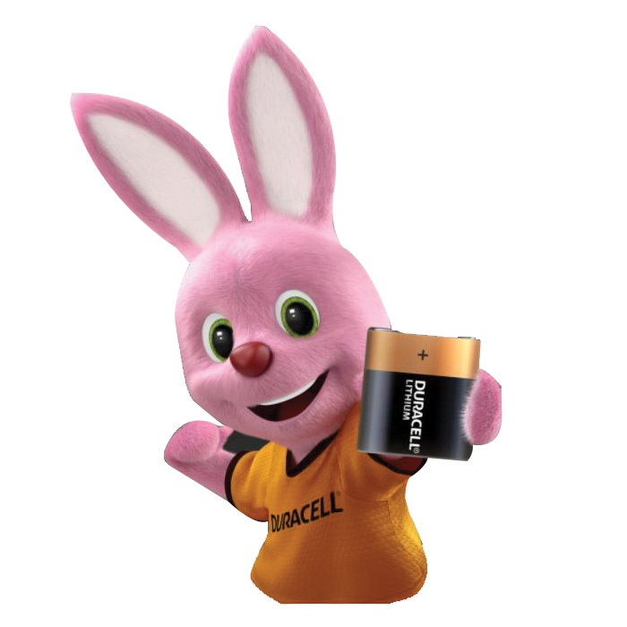 DURACELL® CR-P2 DRCDL223